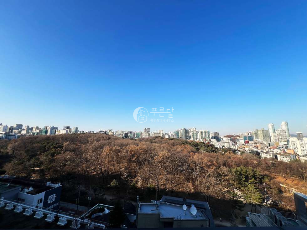 서울 강남구 삼성동 선릉역 도보 5분 신축 사옥 통임대 사무실 월세 매물번호 10599 사진 12