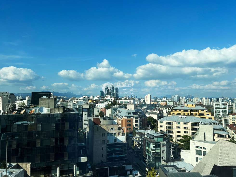 서울 강남구 청담동 청담사거리 신축 레이어청담 매매 매매 매물번호 11096 사진 8
