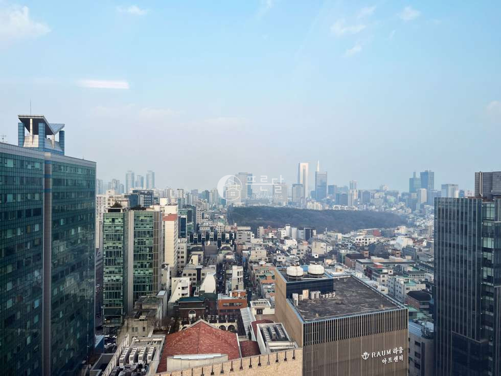 서울 강남구 역삼동 653-4 201오피스텔동 원에디션 강남 고층 매매 실거주/투자 모두 가능 매매 매물번호 11180 사진 3