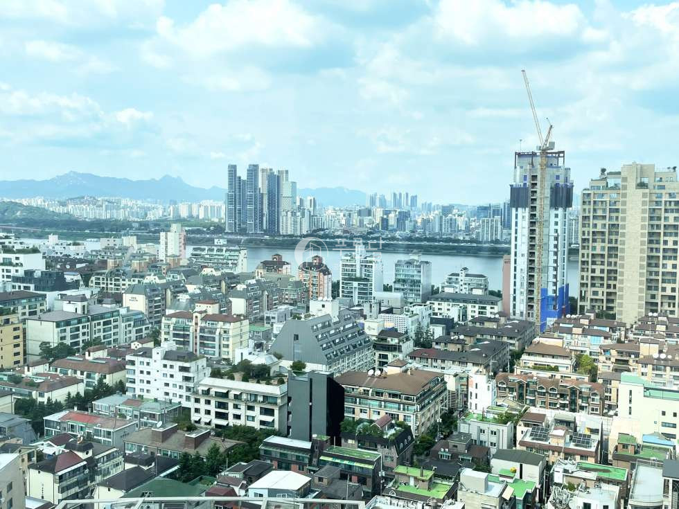 서울 강남구 청담동 50-1 디아포제청담522동 청담사거리 하이엔드 디아포제522 월세 월세 매물번호 11384 사진 3
