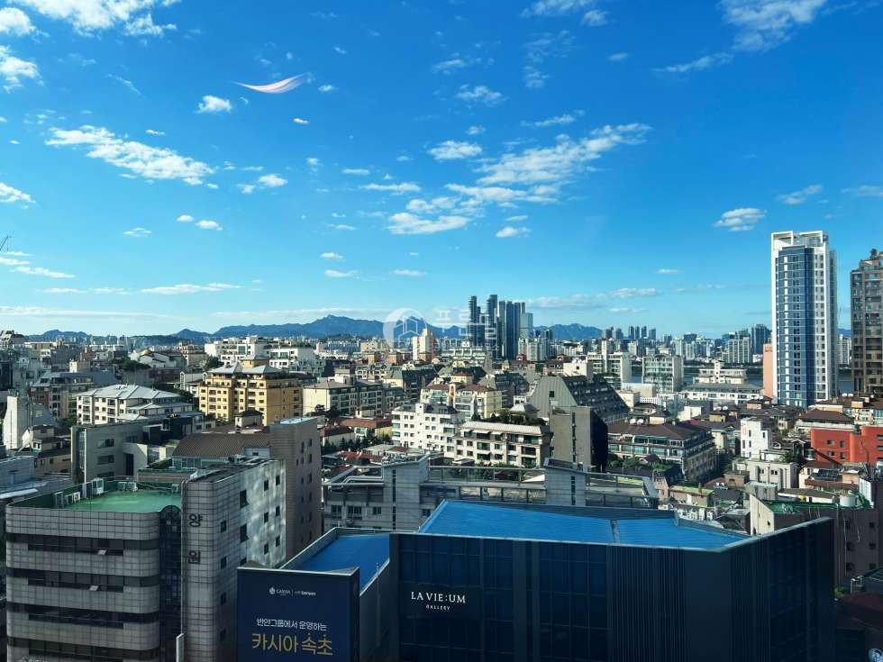 서울 강남구 청담동 50-1 디 아포제 청담522동 아치형통창 청담동 하이엔드 디아포제 522 한강일부조망 월세 매물번호 12036 사진 9