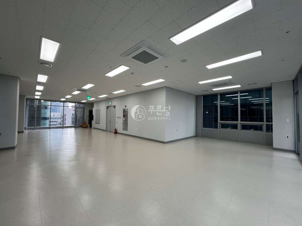 서울 강남구 역삼동 선릉역 초역세권 신축 사무실 월세 매물번호 10244 사진 5